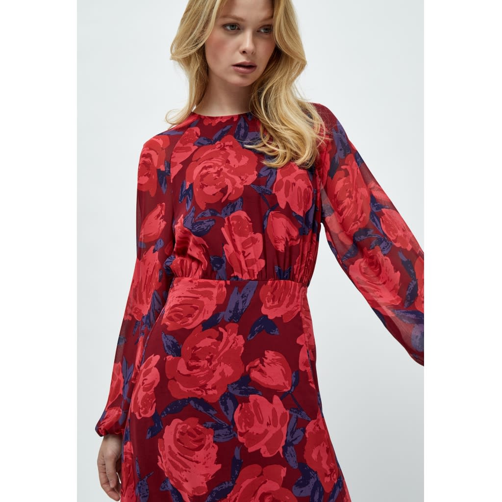 Vistia Dress, pastel red rose print