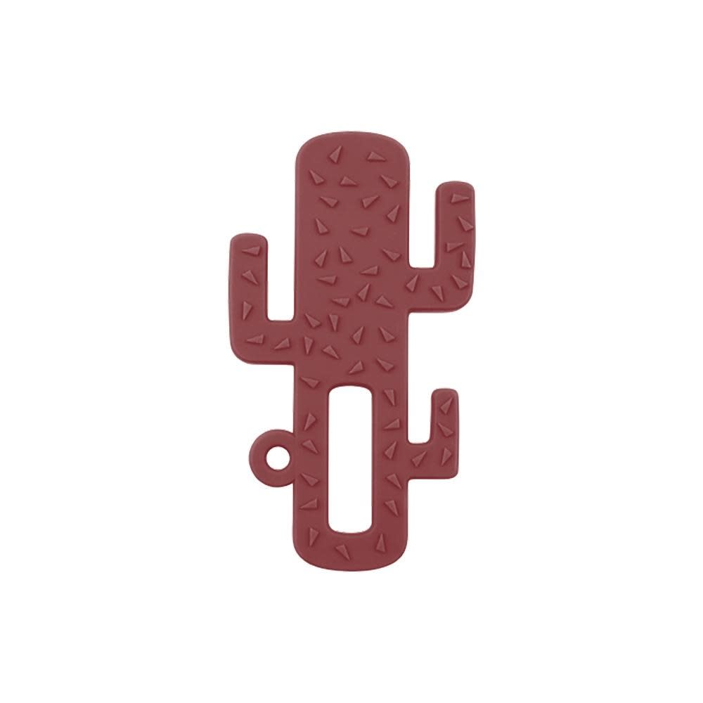 Minikoioi Bitring Kaktus från Minikoioi