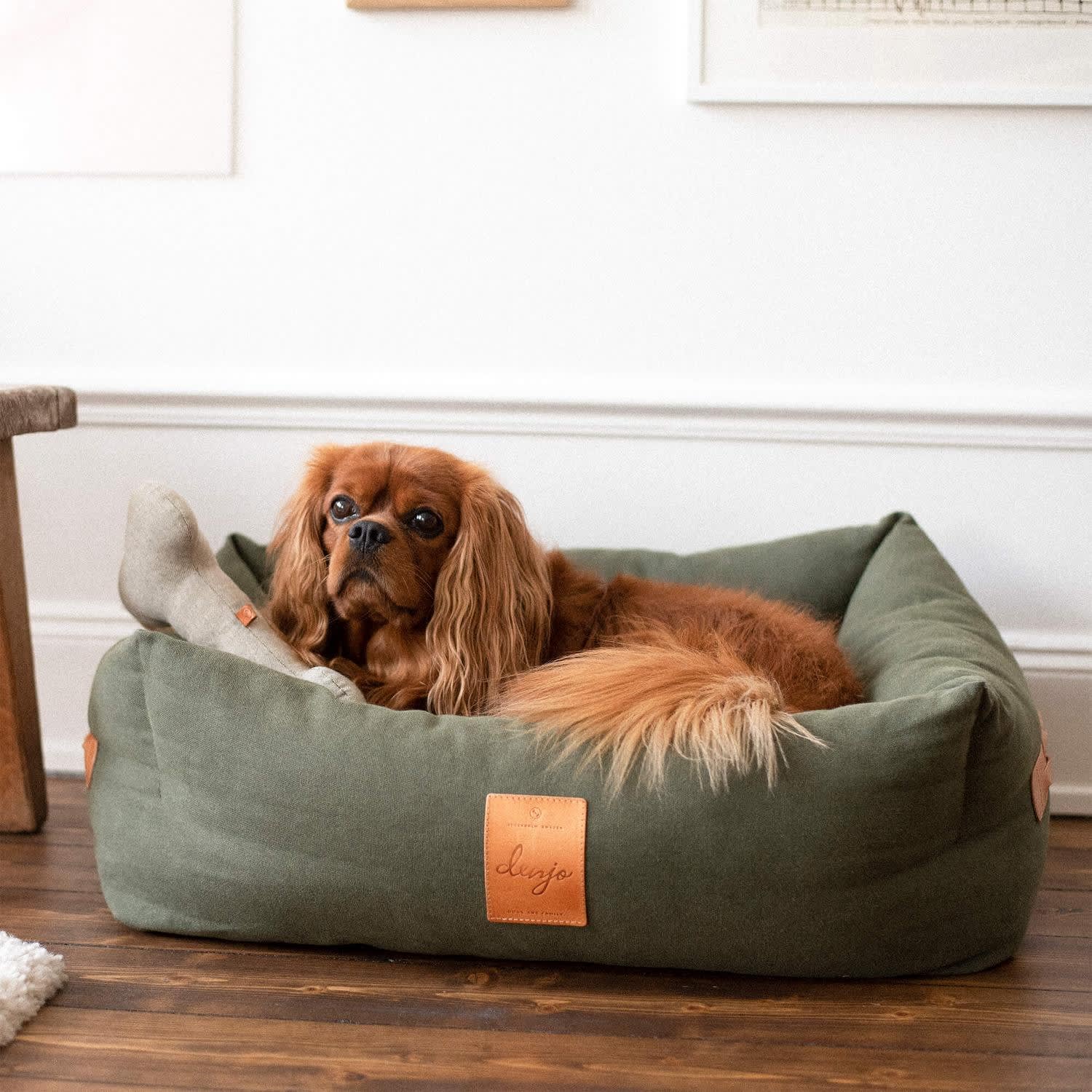 Hundbädd Classic Nest Med Läderdetaljer från Denjo Dogs