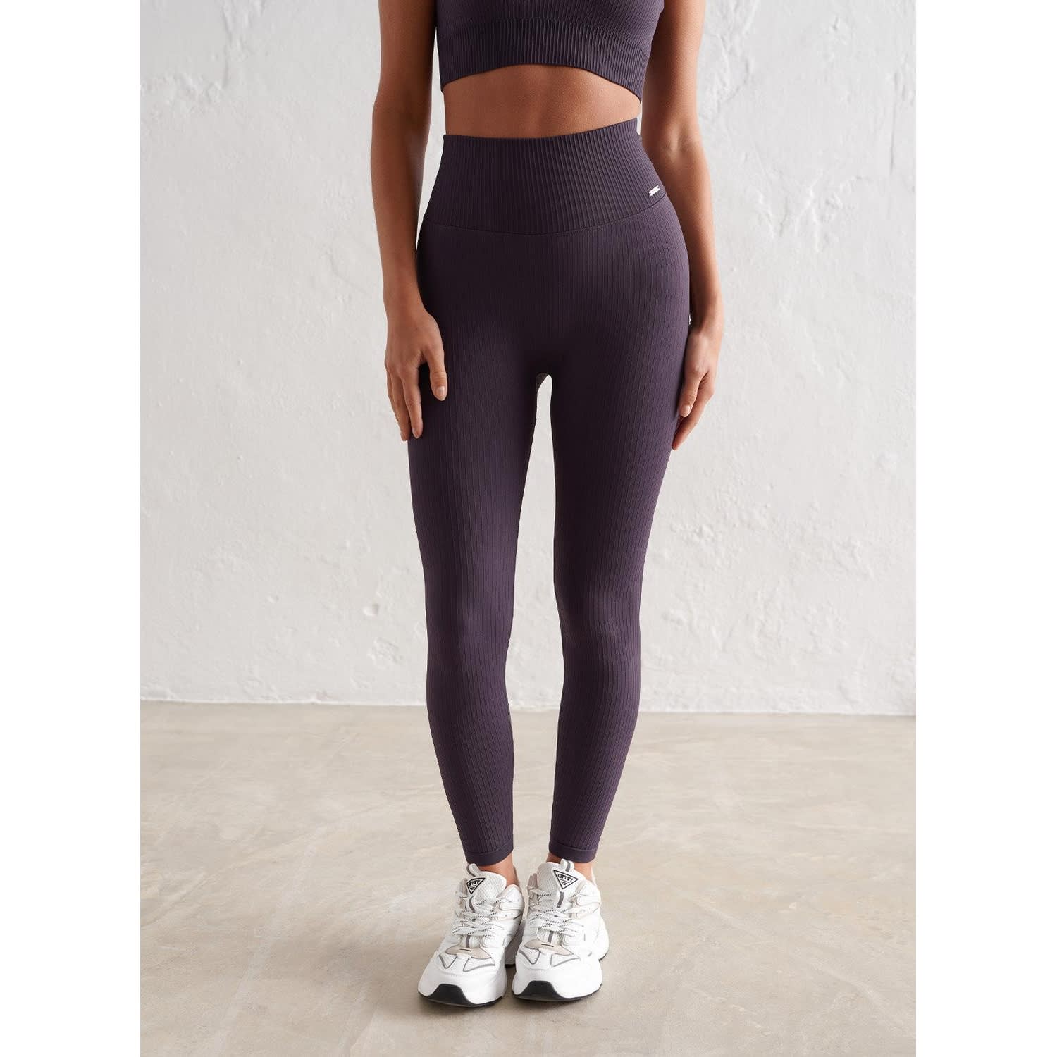 Plum Ribbed Seamless Tights
