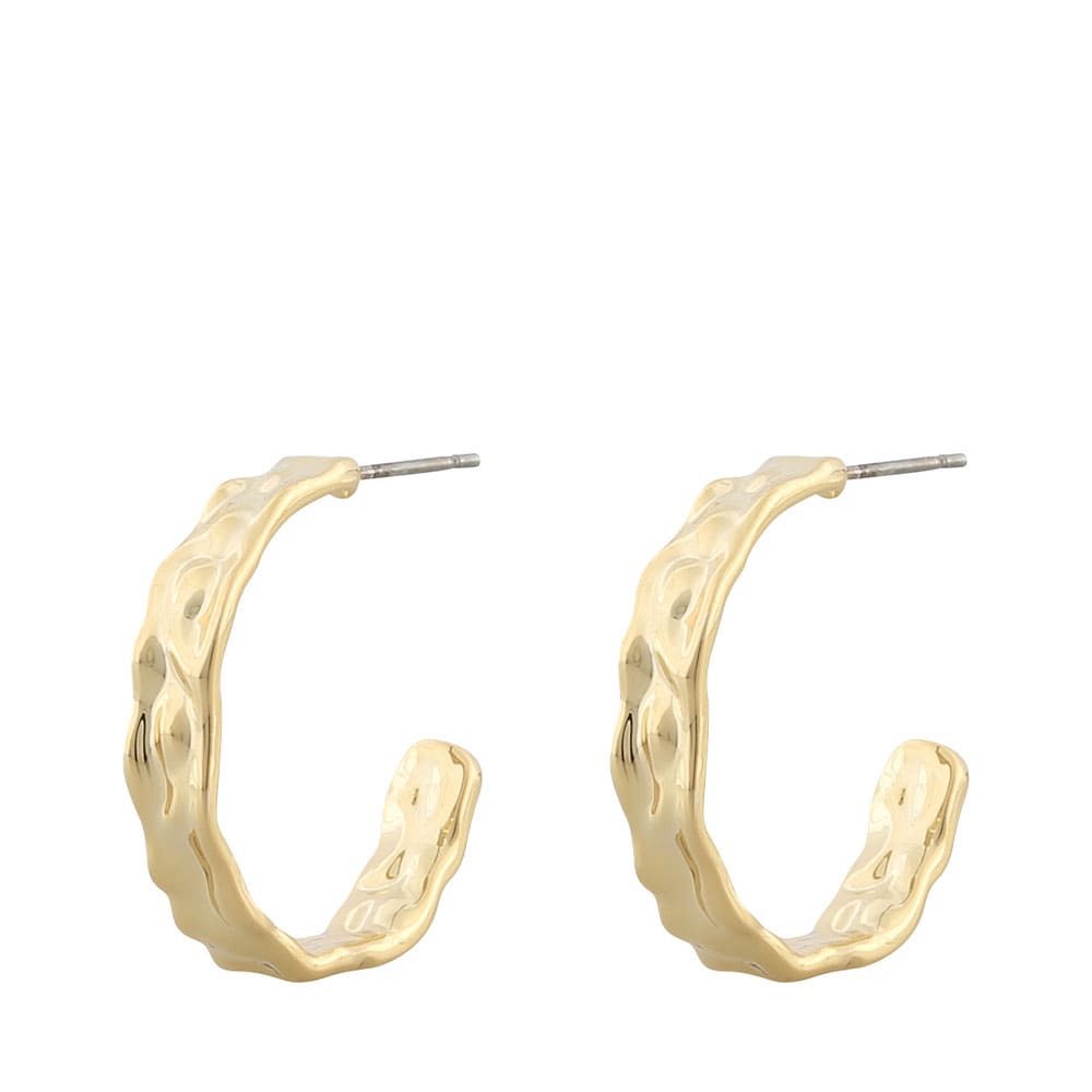 Five Big Ring Earrings
