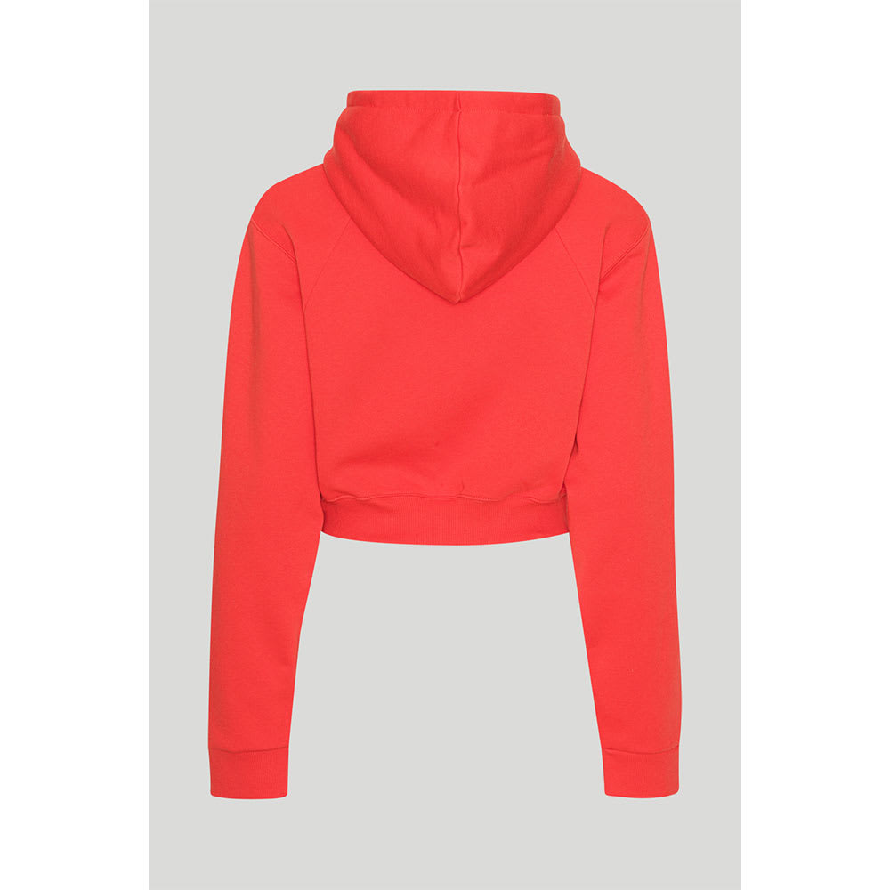 Sweat Cropped Hoodie