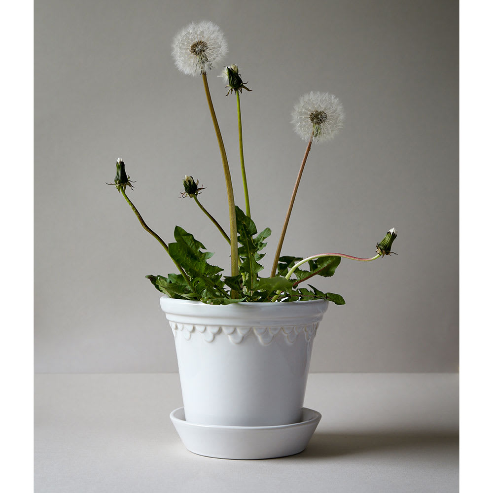 Kruka Københavner 14 cm