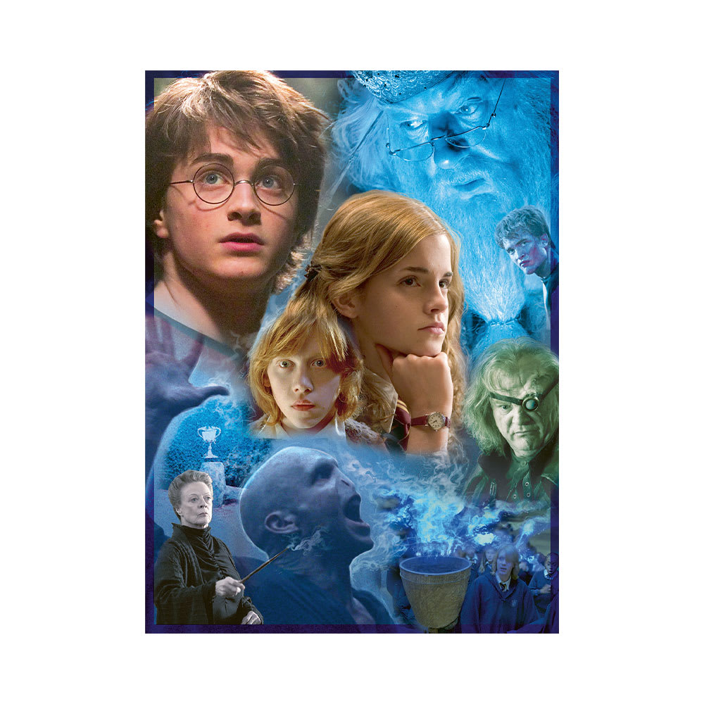 Harry Potter At Hogwarts 500p