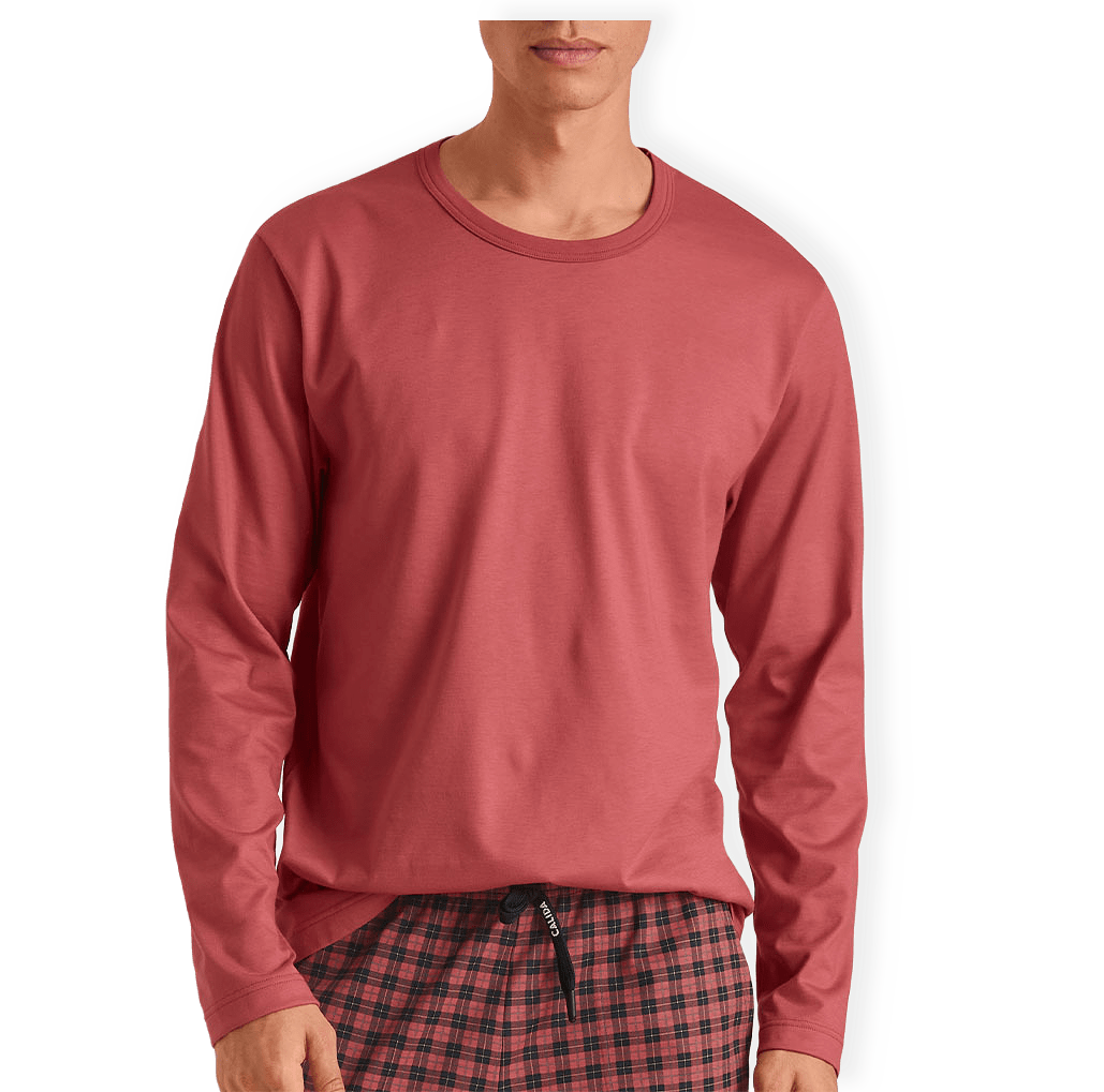 Calida Shirt Long-Sleeve Rmx sleep time off från Calida