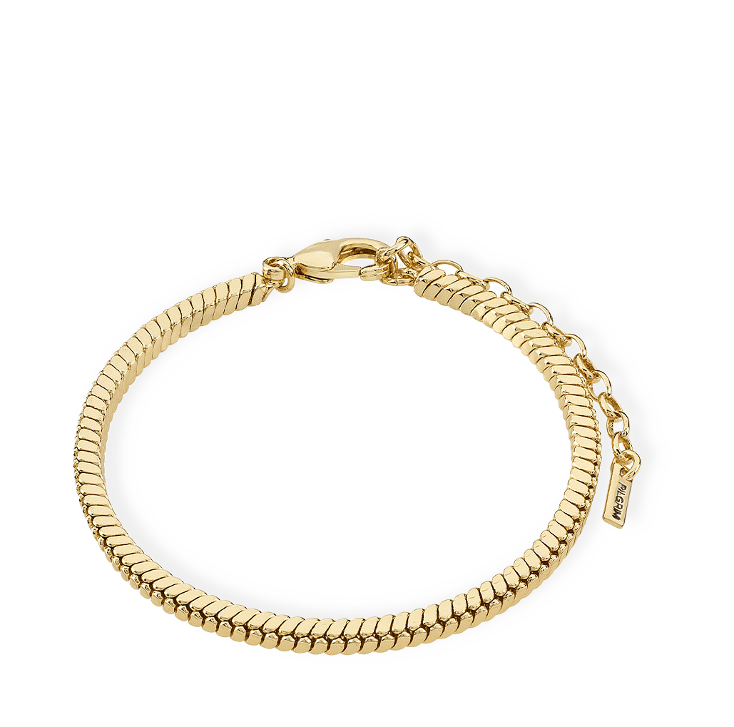 Dominique Bracele