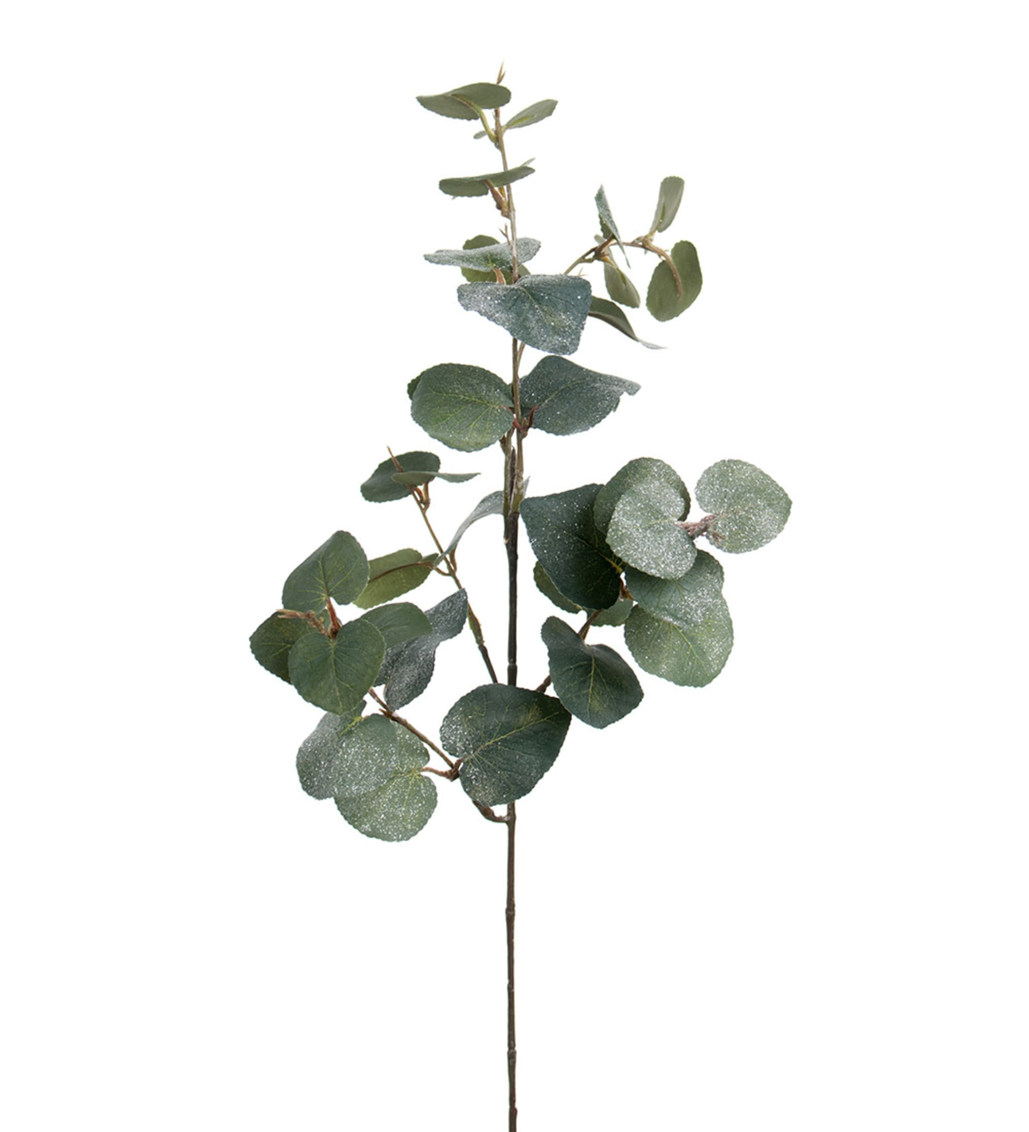 ahlens.se | Eucalyptus med is 70 cm , 70, Grön