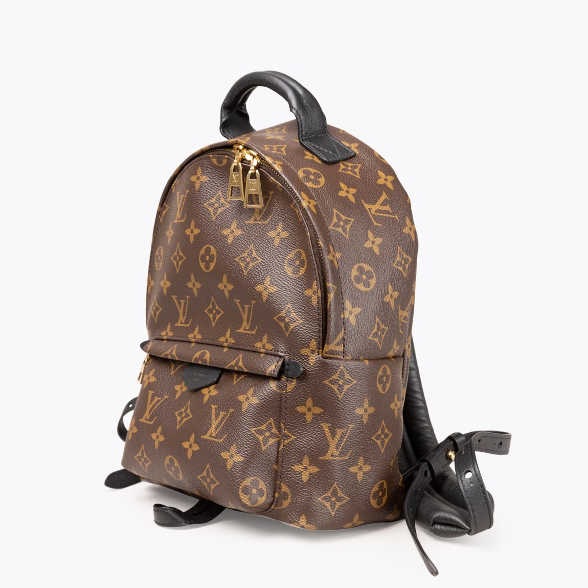Louis Vuitton Palm Springs Backpack Pm