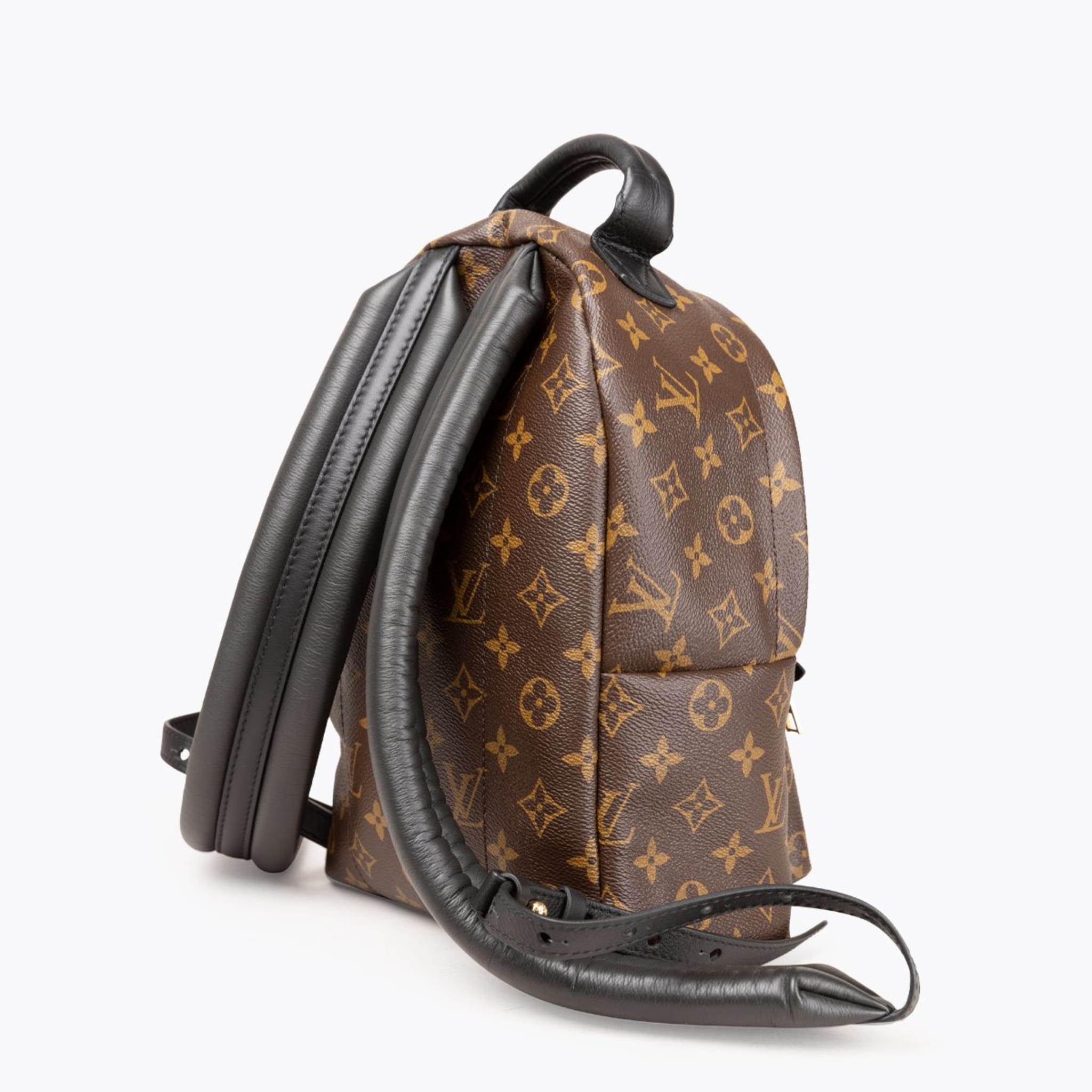 Louis Vuitton Palm Springs Backpack Pm