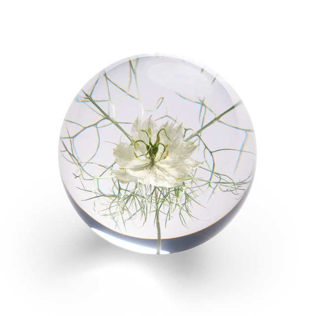 In Flore Flor Pappersvikt