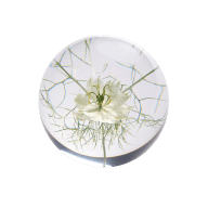 Flor Pappersvikt