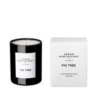 Doftljus Fig Tree