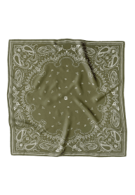 Pasiley Scarf