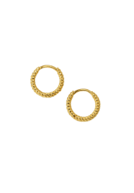 Beloved Twisted Small Hoops